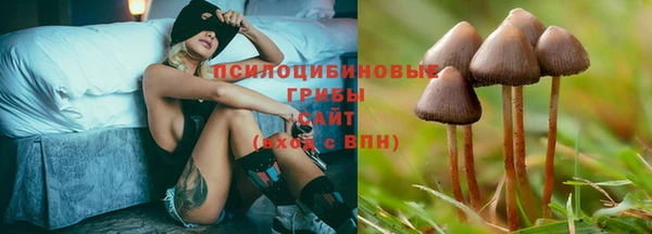 2c-b Балабаново