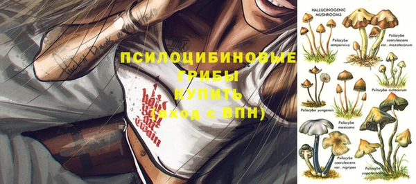 2c-b Балабаново