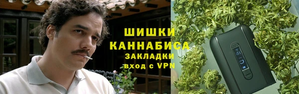 ГАЛЛЮЦИНОГЕННЫЕ ГРИБЫ Баксан