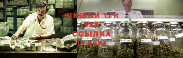 молекула духа Балахна