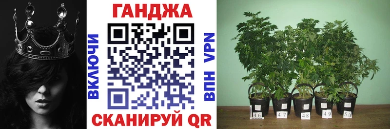 MEGA зеркало  Мостовской  Канабис тримм 